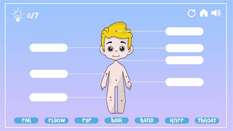 body parts game|️ Play Learning The Body Game: Free Online Human Anatomy .